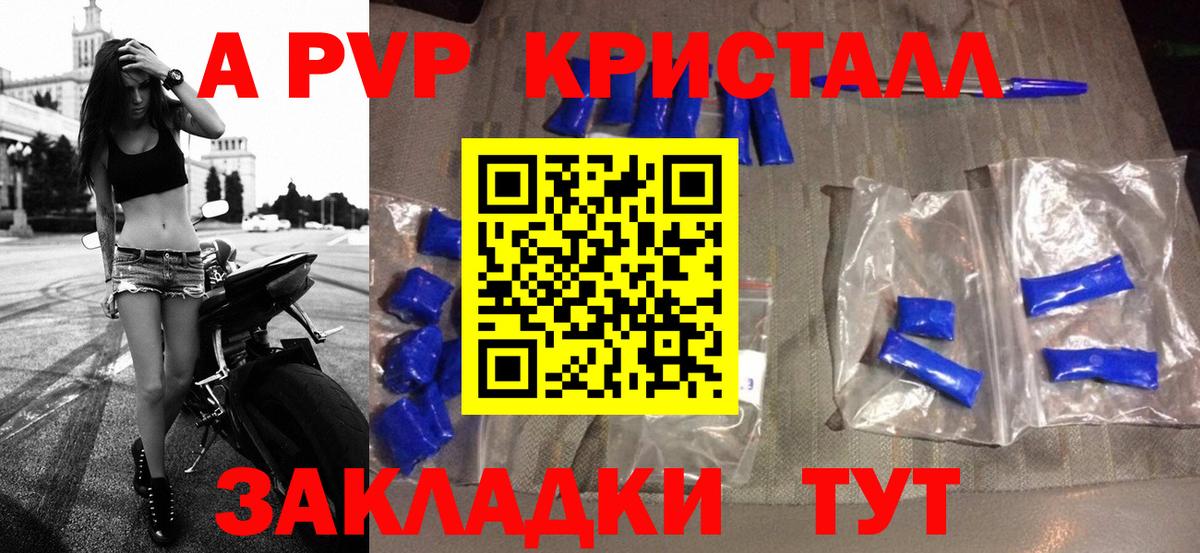 Альфа ПВП СК Йошкар-Ола