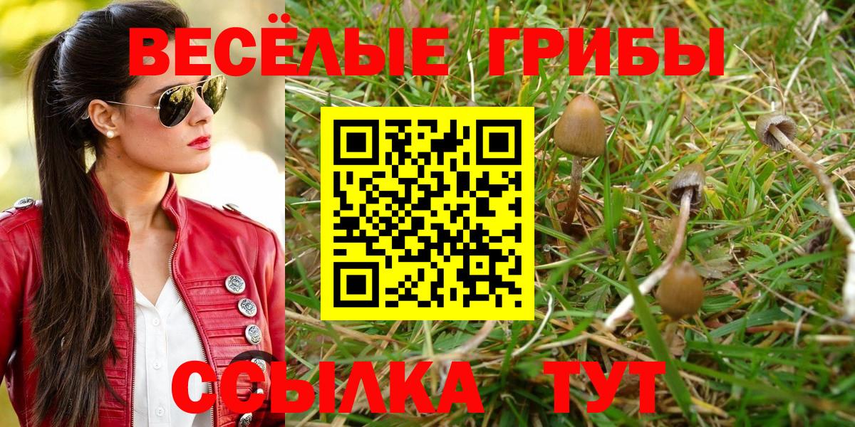 Йошкар-Ола  Псилоцибиновые грибы прущие грибы  Вход с VPN 